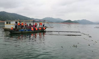 县畜牧兽医渔业局多措并举 大力引导和扶持绿色畜牧业高质量发展