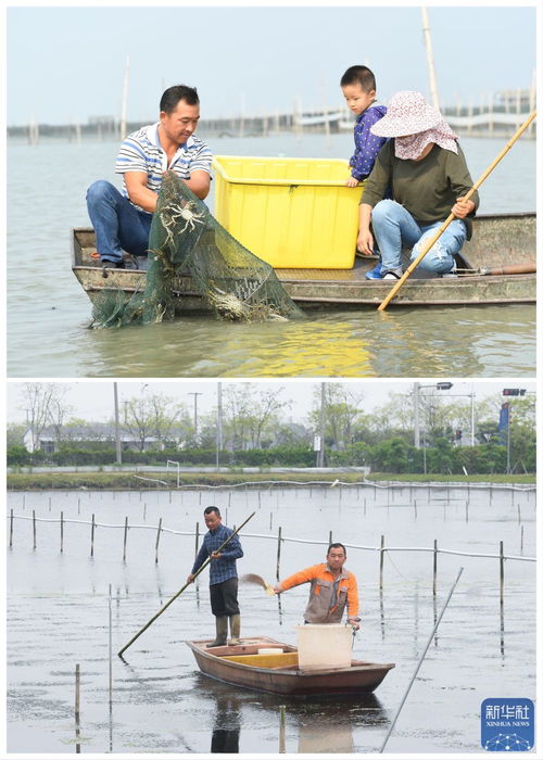 绿色太湖谱新篇 水清岸绿民富，汽车装饰用品销售助力生态经济