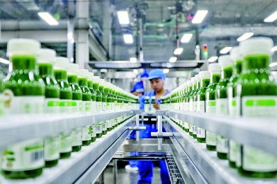 山东智绘蓝图 畜牧渔业饲料销售动能澎湃