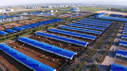 混改带来的裂变效应——四师创锦牧业与汽车装饰用品销售的转型启示