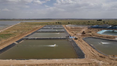 榆林迎小龙虾上市旺季 水产赋能乡村振兴，畜牧渔业饲料销售同步增长