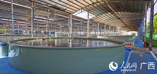 畜牧渔业饲料销售 市场现状与未来展望