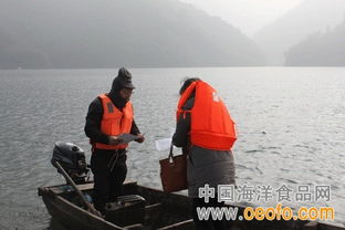 江山市多措并举筑牢节前安全防线，守护渔业生产与市场质量双安全