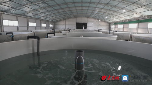 创新潮涌黄河口⑥ 渔·生态·智造 垦利区“渔业+”融合新模式塑造区域核心竞争力