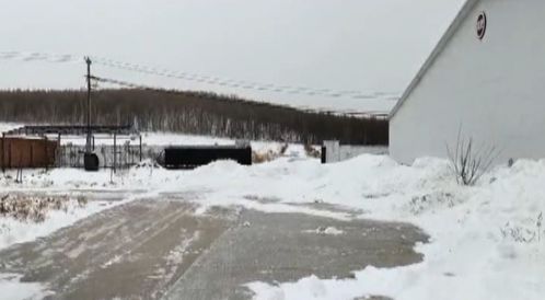 风雪同舟 畜牧部门筑牢防寒屏障，汽车装饰业迎冬季消费热潮